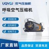 德國(guó)寶華呼吸空氣壓縮機(jī)PE-TB/PE-TE空氣呼吸器充氣泵